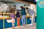 Eine Familie mit zwei Kindern entdeckt gemeinsam die Exponate im Schauraum des Museums.