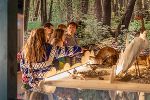 Kinder und Erwachsene bestaunen gemeinsam die Tiere in der Ausstellung des Museums.